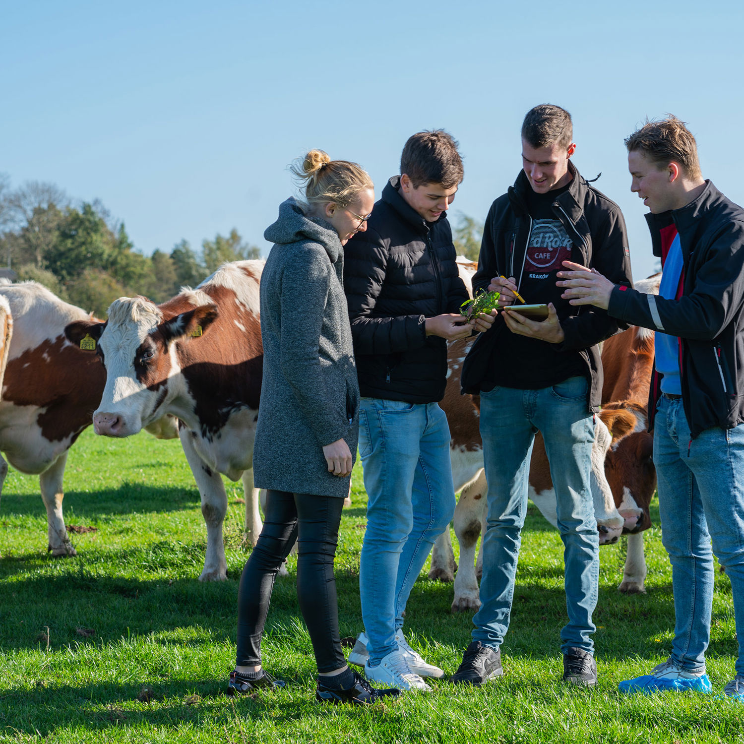 Docent leidt groep lachende studenten in klaslokaal