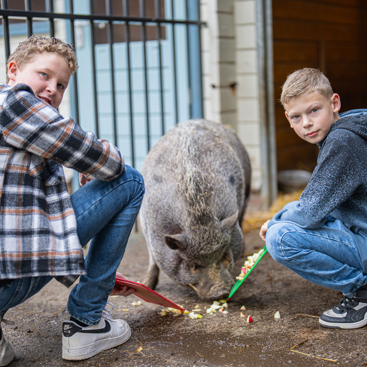 Leerling kust de neus van een paard