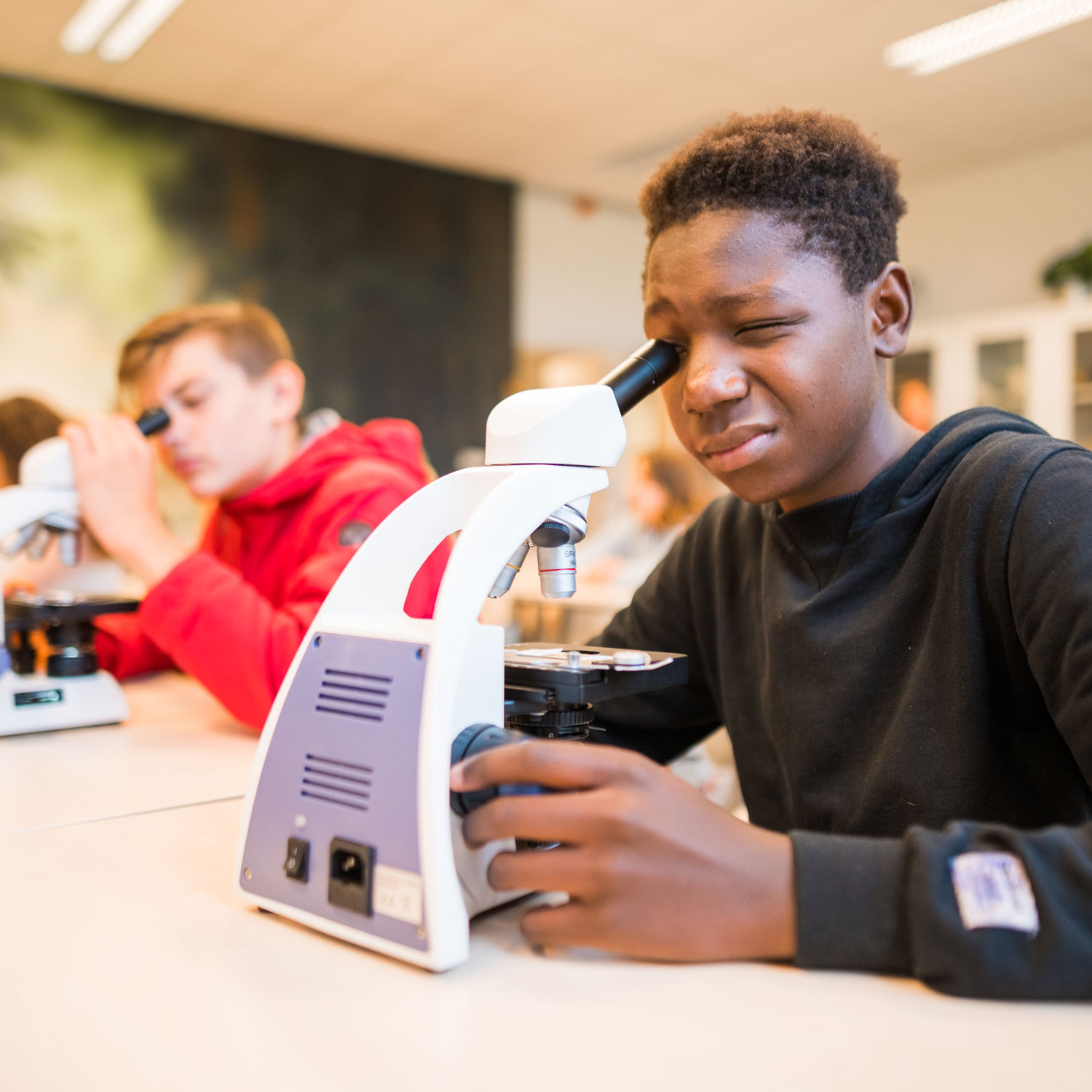 Leerling kust de neus van een paard