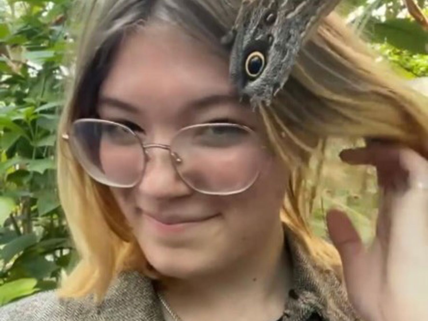 Meisje met vlinder in het haar