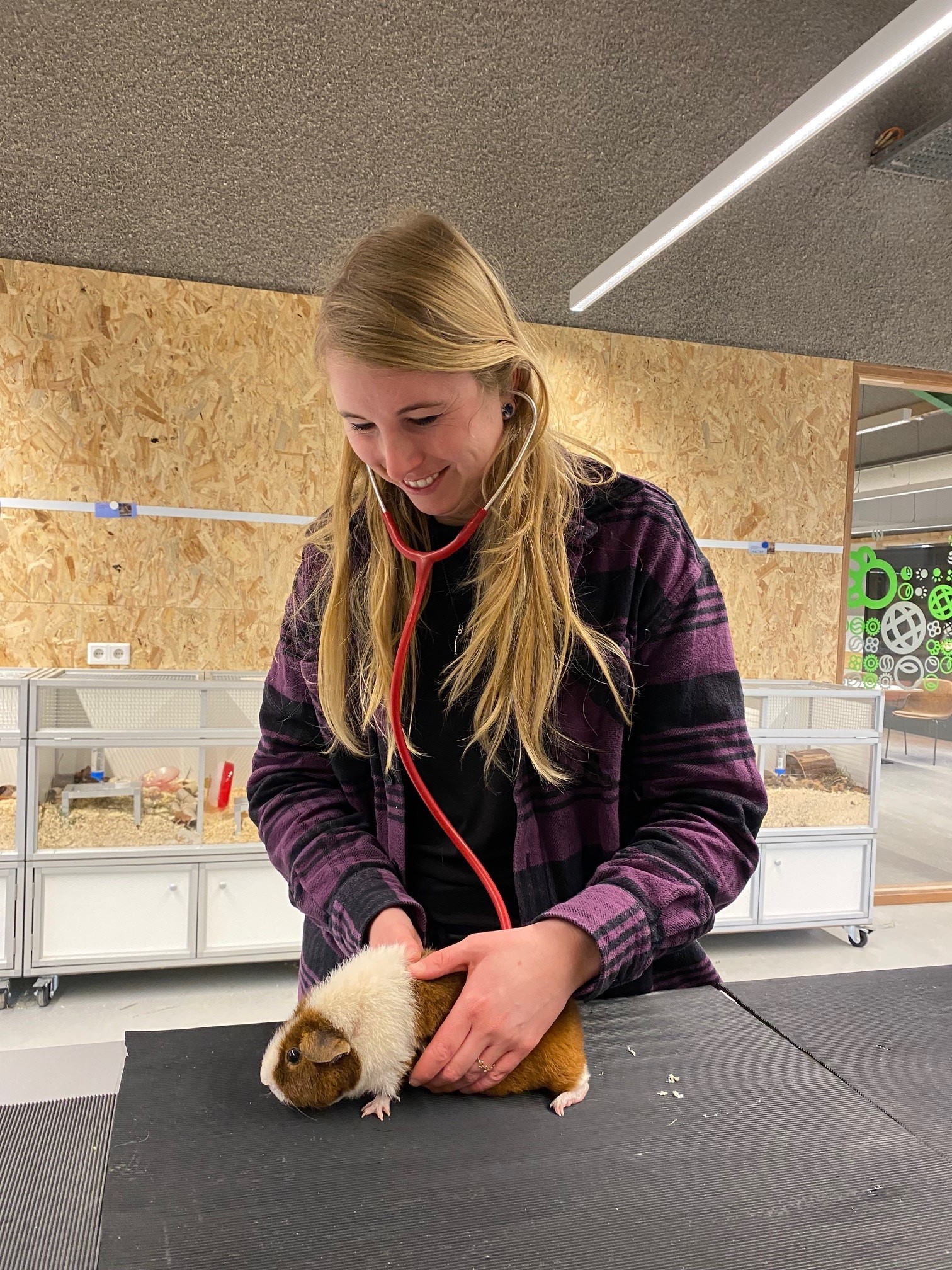 Mbo-studenten op het podium tijdens Skills The Finals 2025