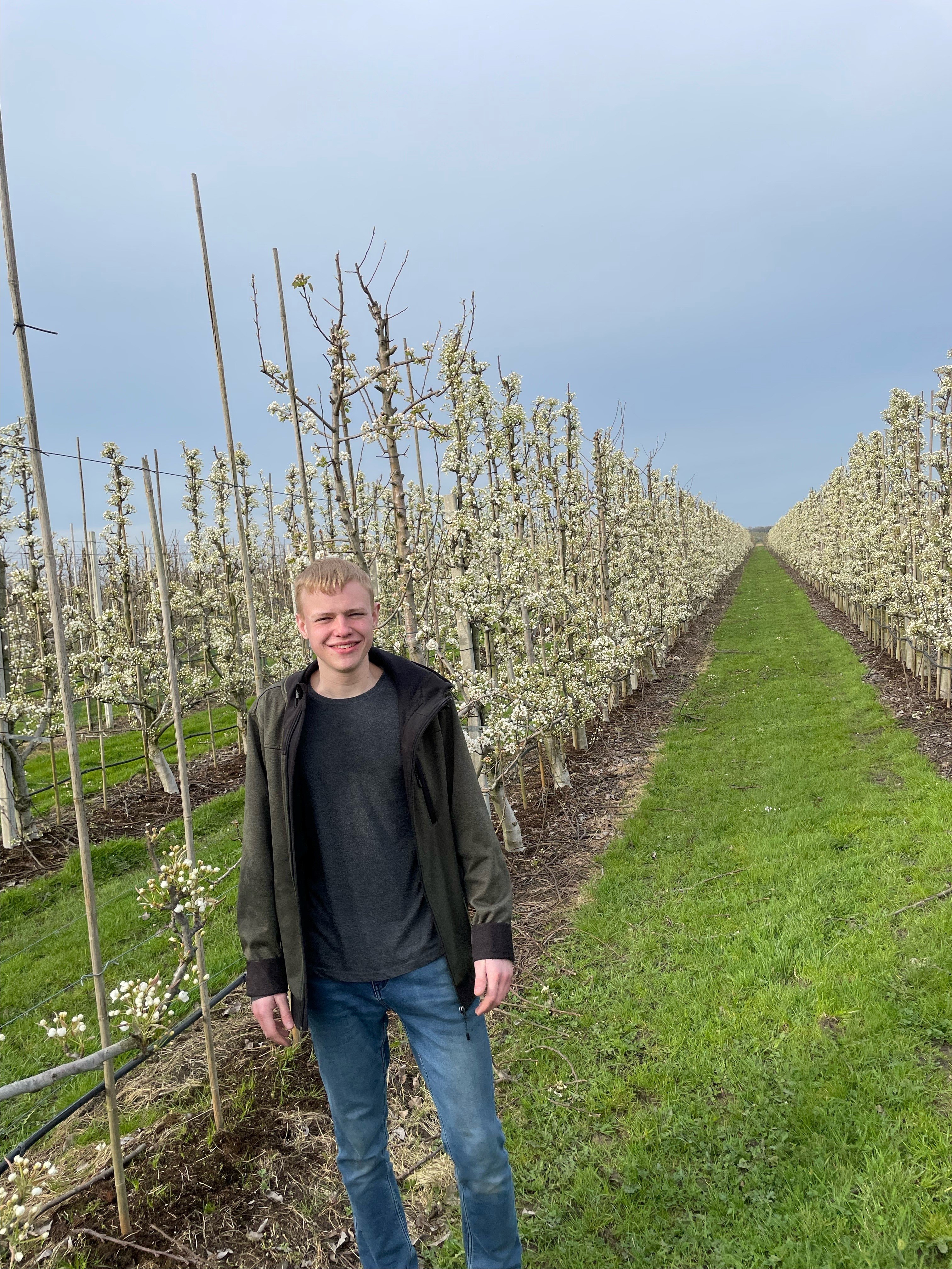 Jongen voor een fruitteeltveld