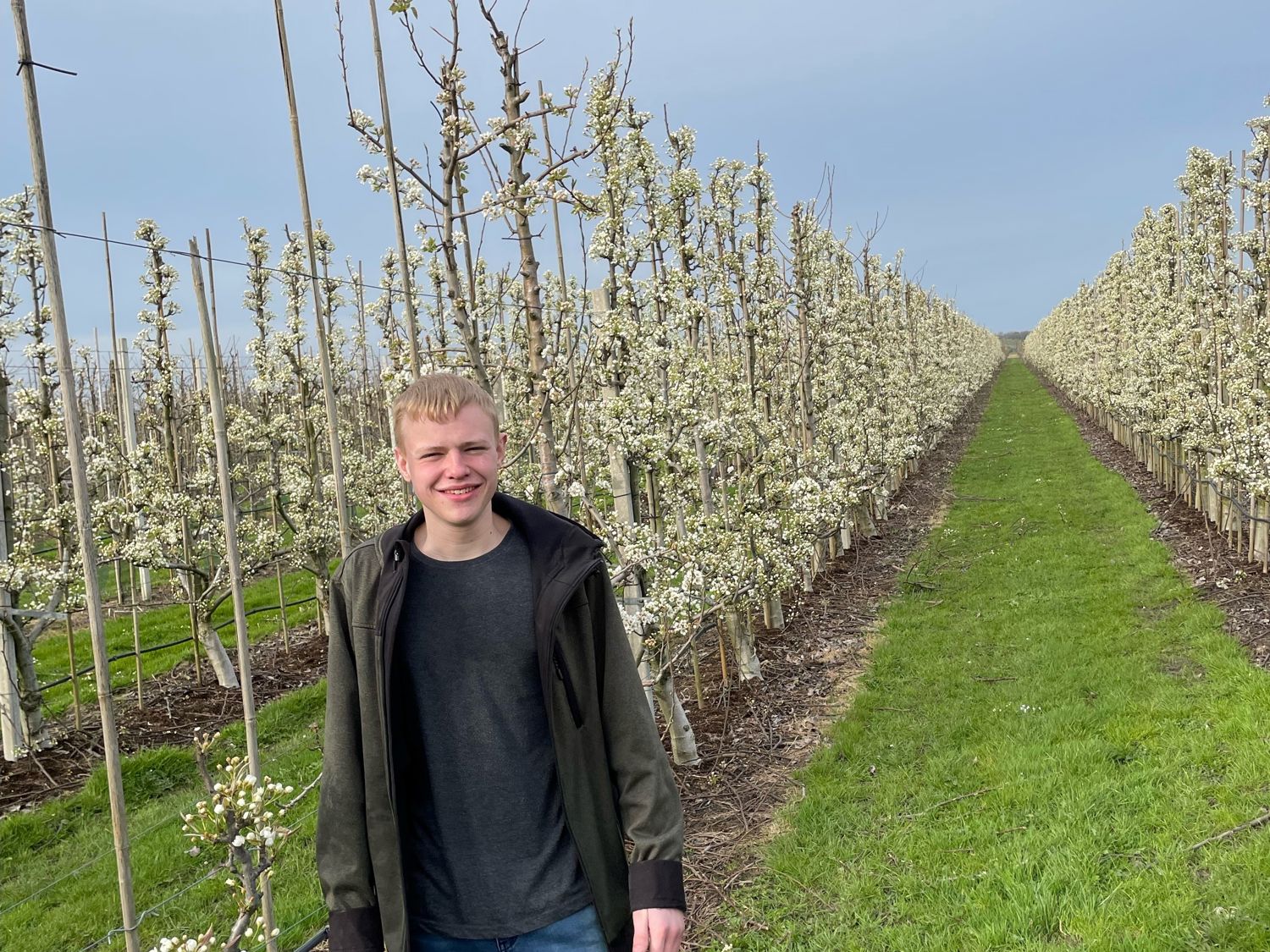 Leerling kust de neus van een paard