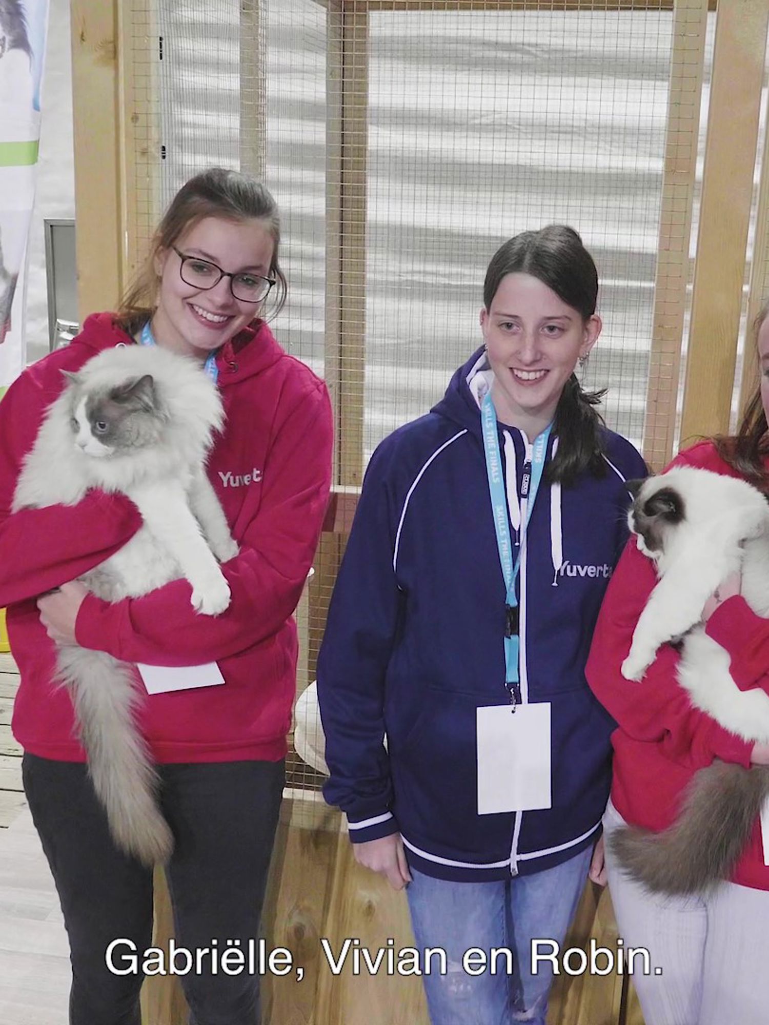 Een hovenier werkt aan een verticale tuin