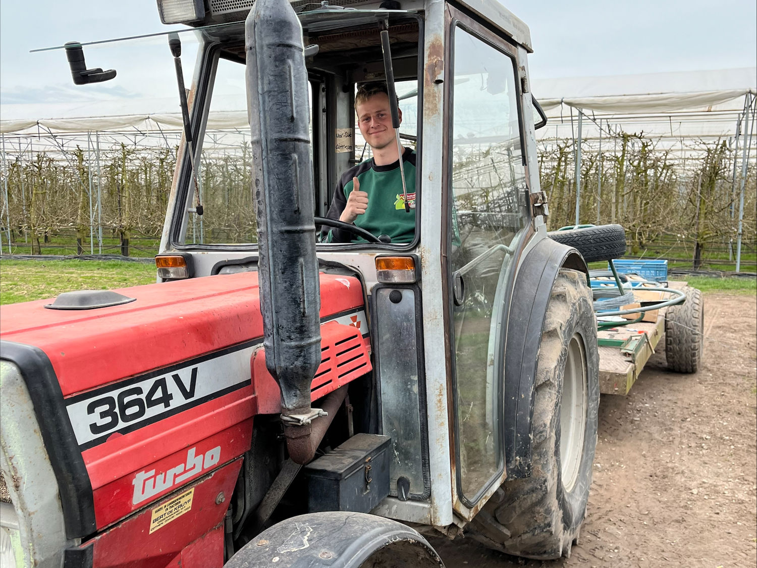 Leerling kust de neus van een paard