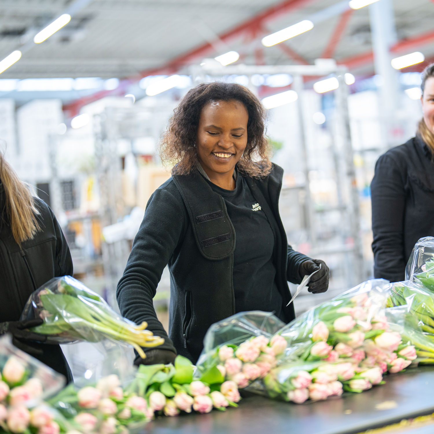 drie giraffes in achter een hek