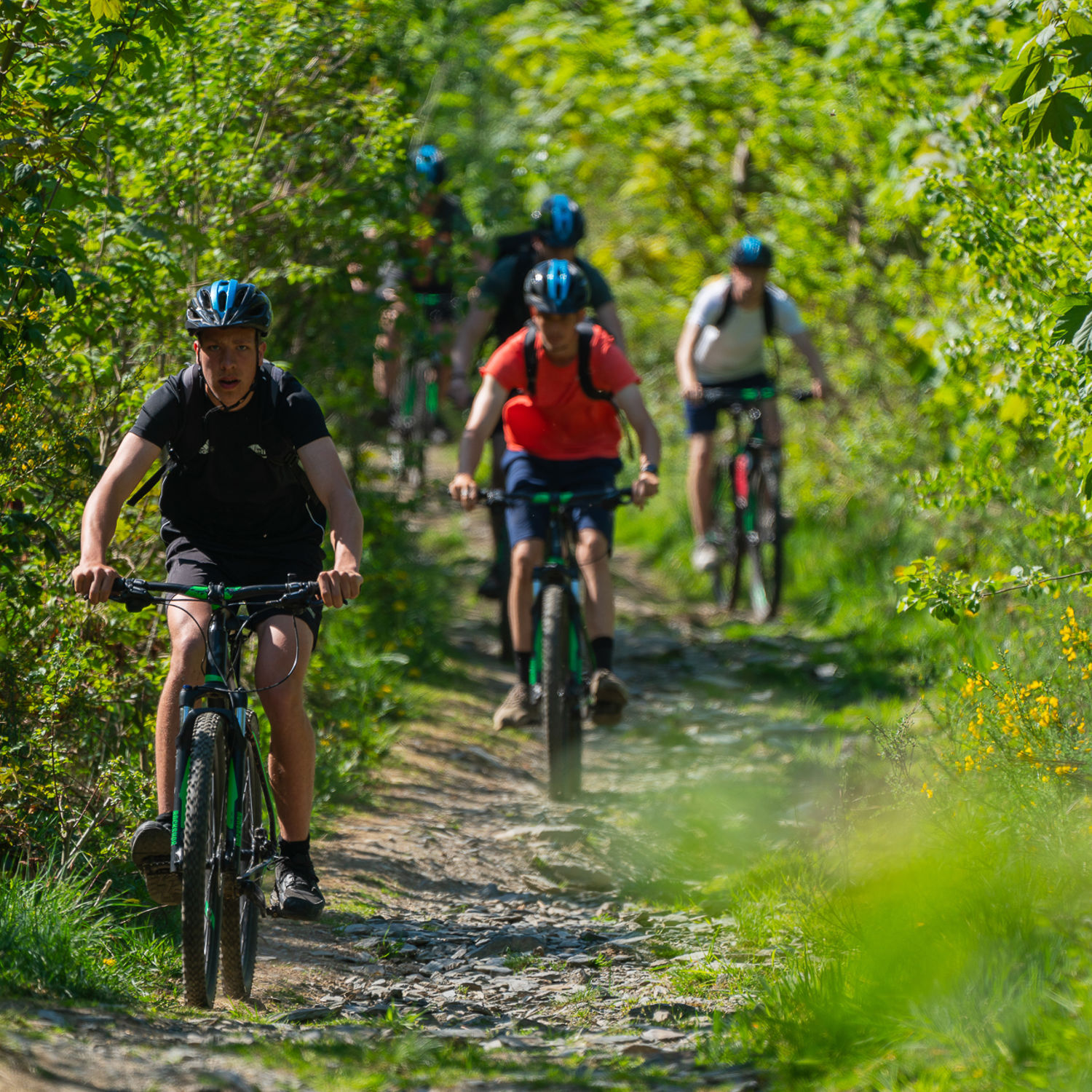 Drie dierenartsen met een hond