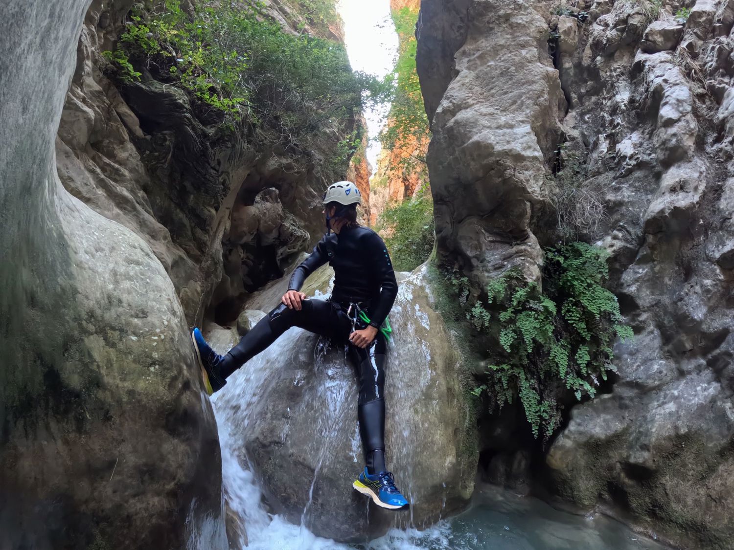 Drie dierenartsen met een hond