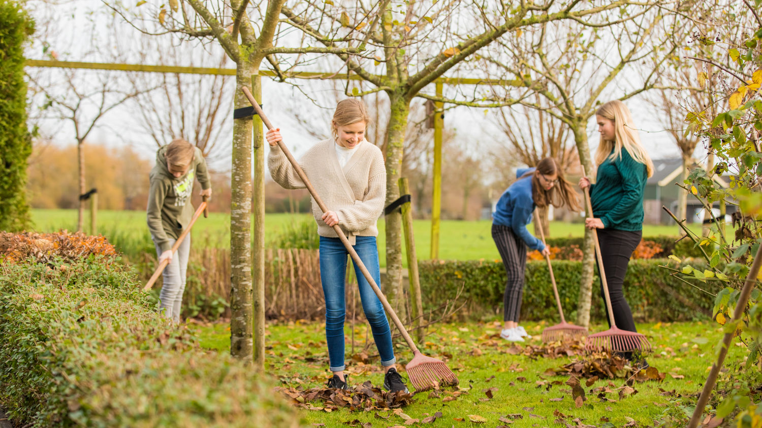 Drie dierenartsen met een hond